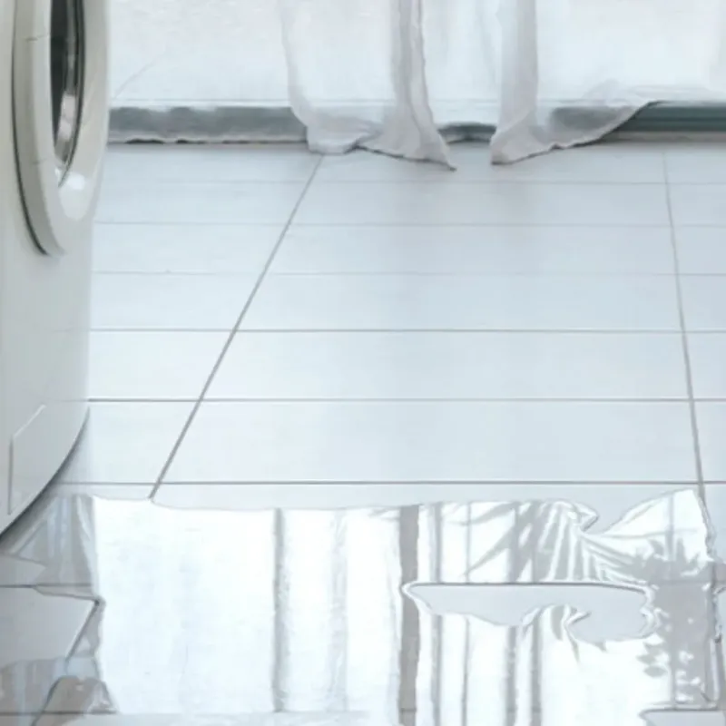 Appliance Leak Cleanup in Garden City, TX