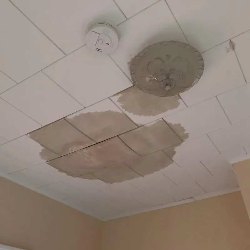 Ceiling Water Damage Repair in Garden City, TX