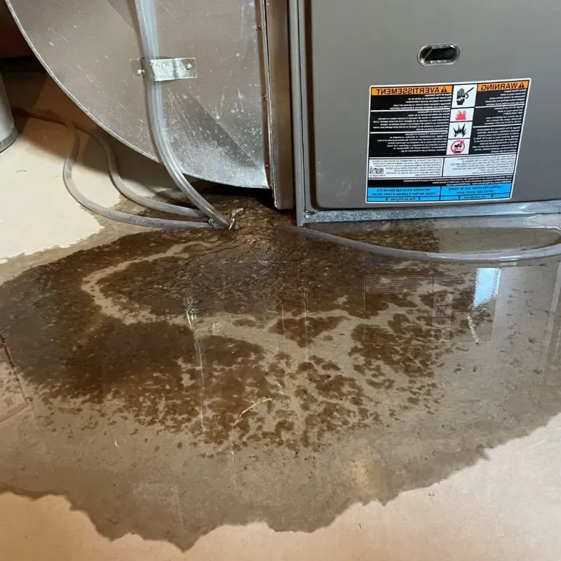 Pipe Burst and Leak Restoration in Garden City, TX