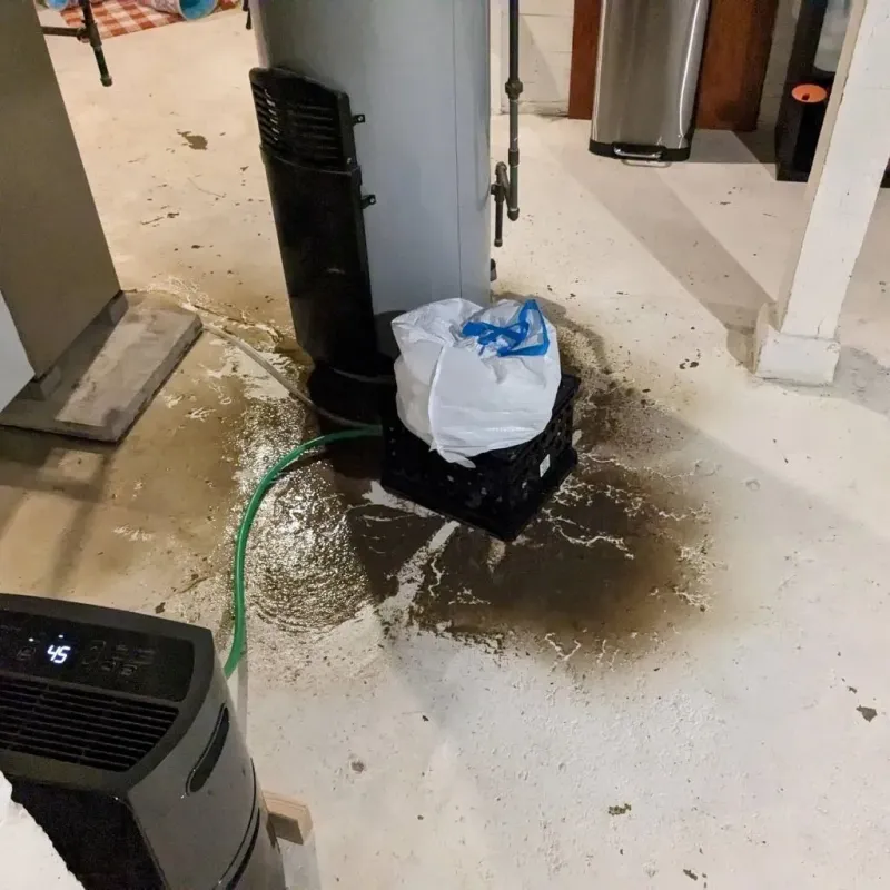Sewage Backup Cleanup Service in Garden City, TX